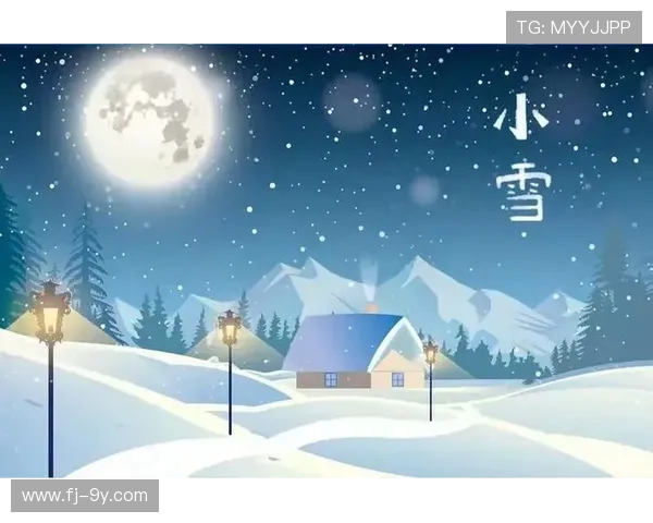 以小雪中的足球场为中心描绘冬日运动魅力的温情故事画卷探秘之旅